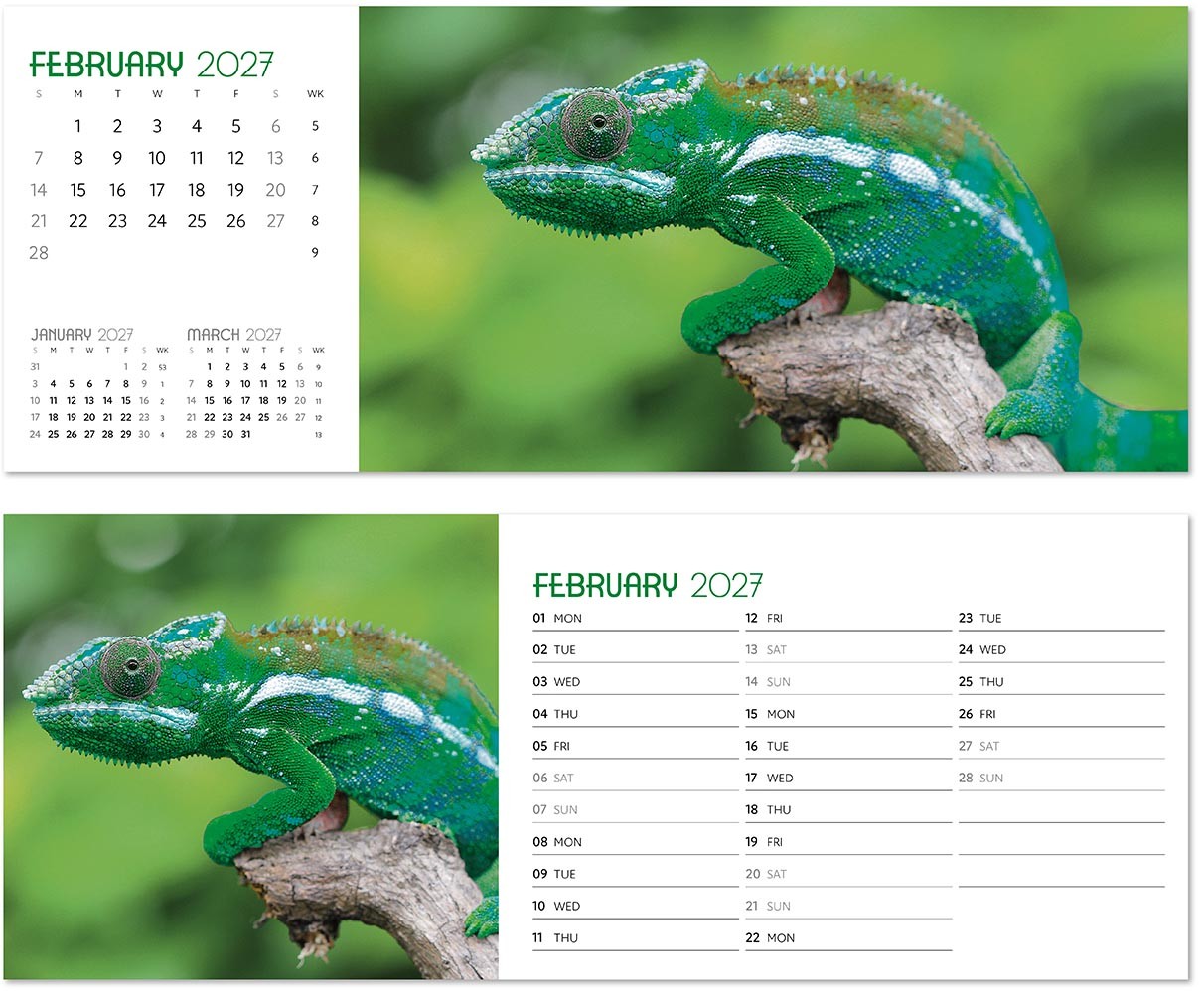 A Touch of Colour Desk Calendar