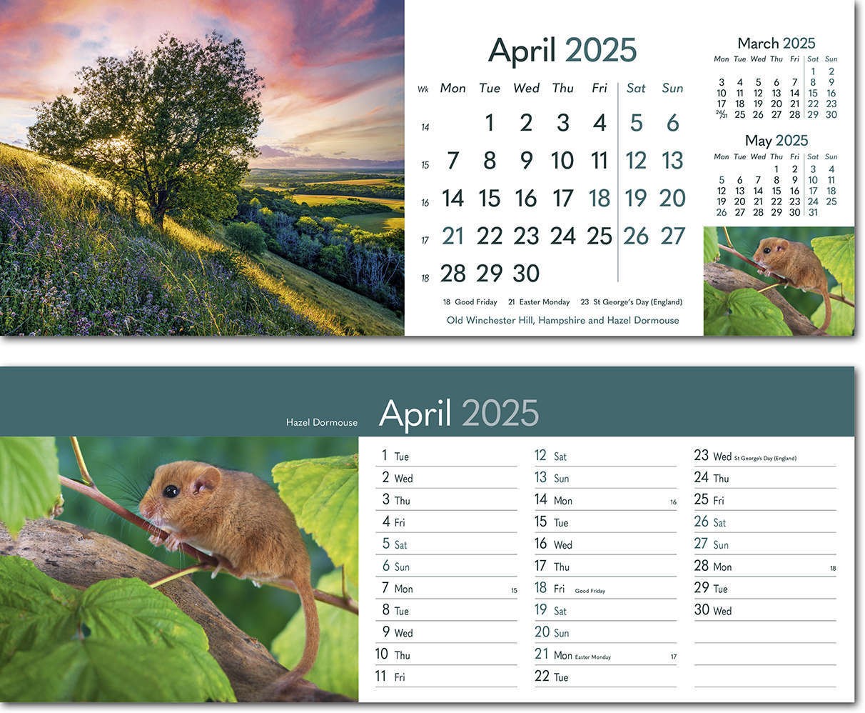 Rural Britain Premium Lined Easel Desk Calendar