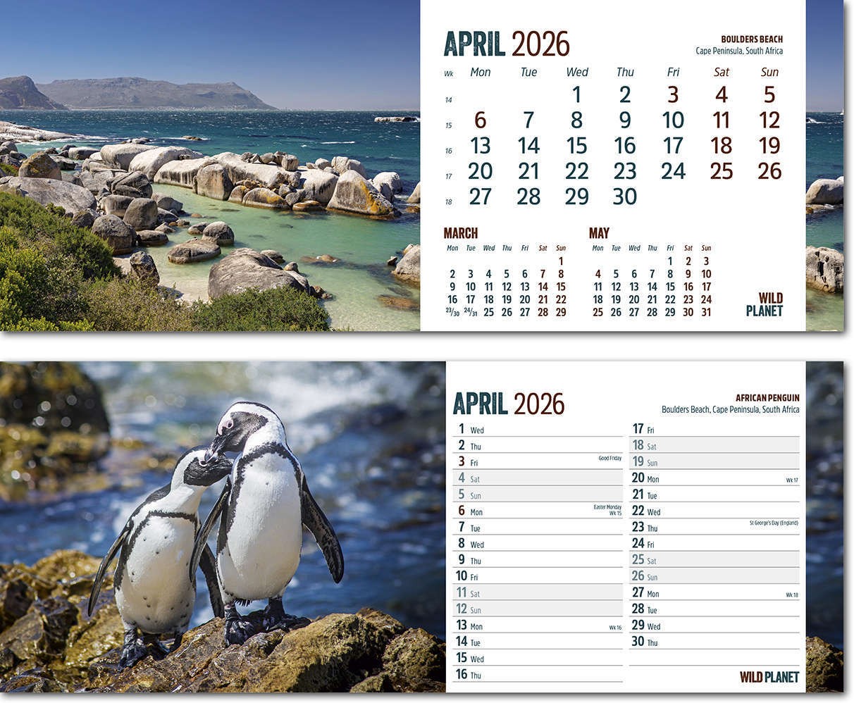 Wild Planet Note Station Desk Calendar 