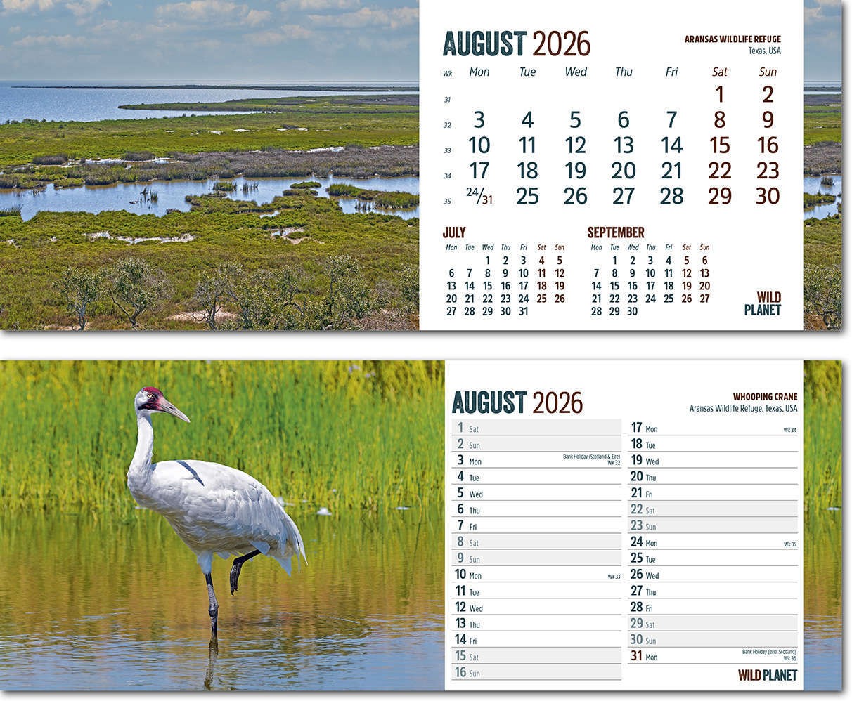 Wild Planet Note Station Desk Calendar 