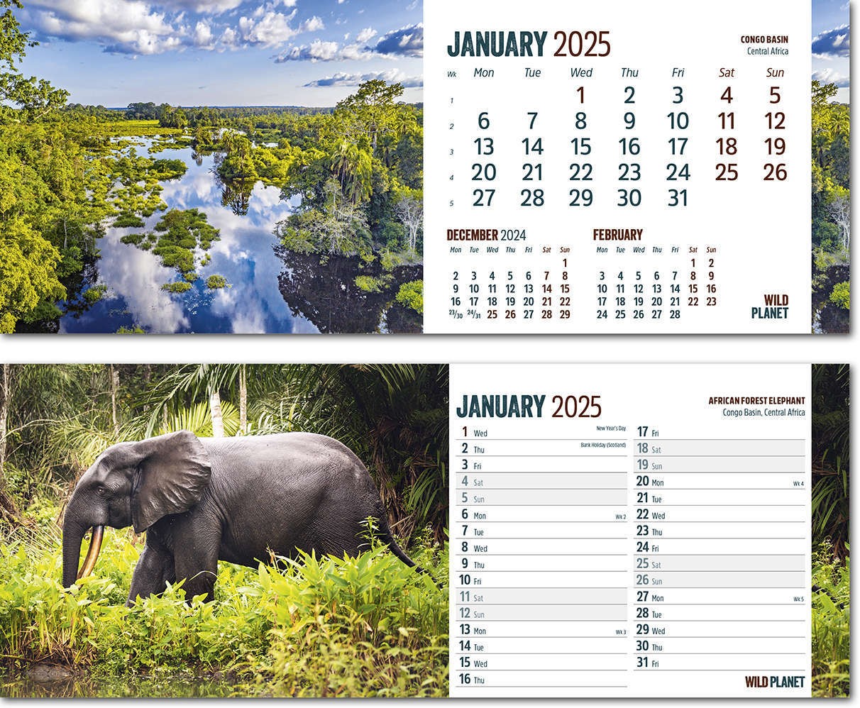 Wild Planet Note Station Desk Calendar 