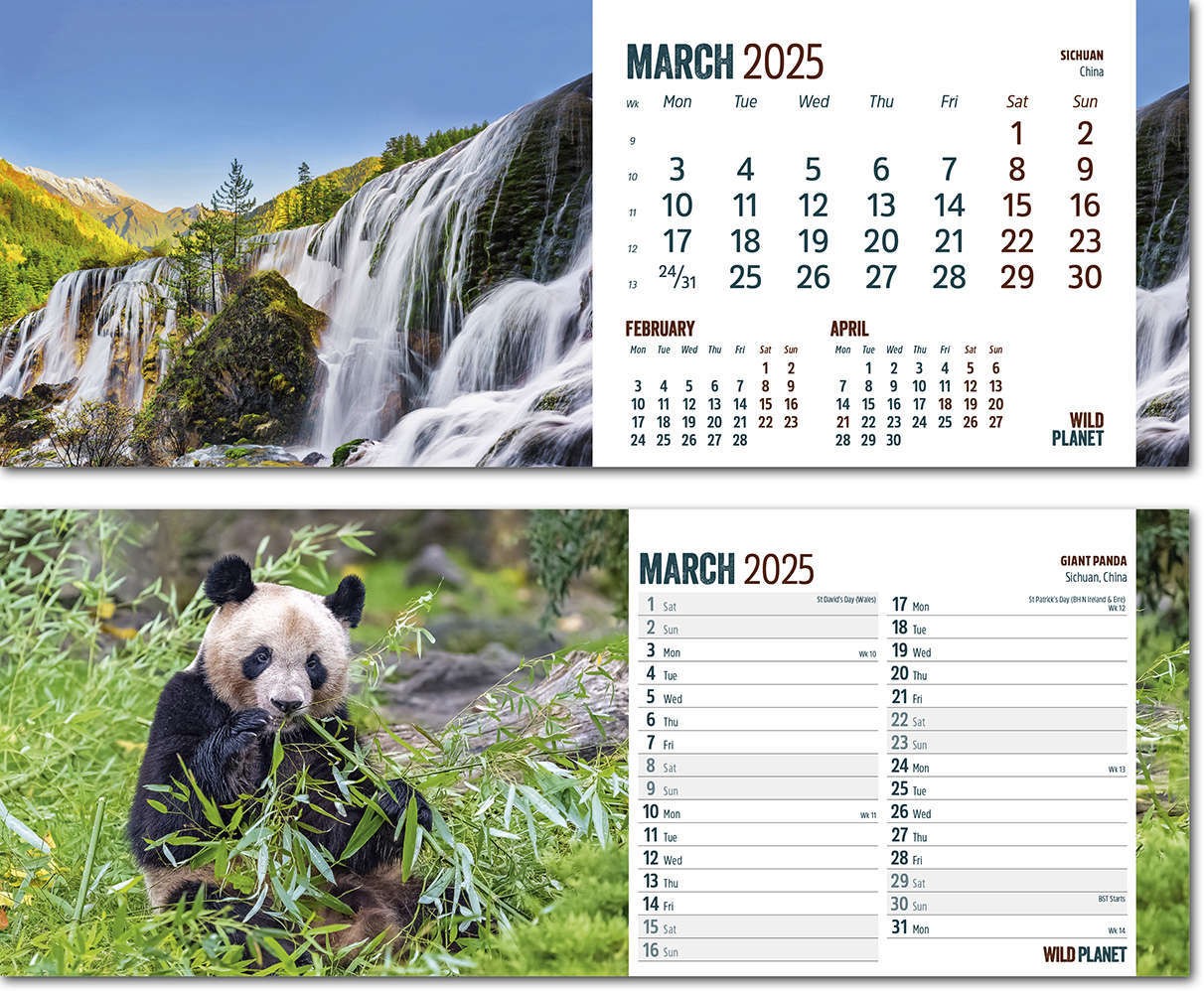 Wild Planet Note Station Desk Calendar 