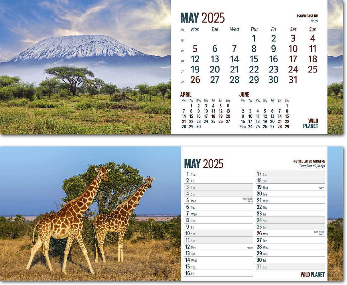 Wild Planet Note Station Desk Calendar 