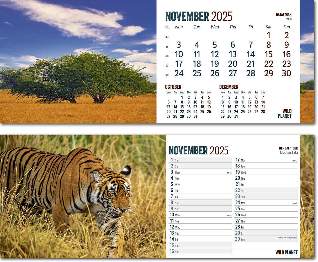 Wild Planet Note Station Desk Calendar 