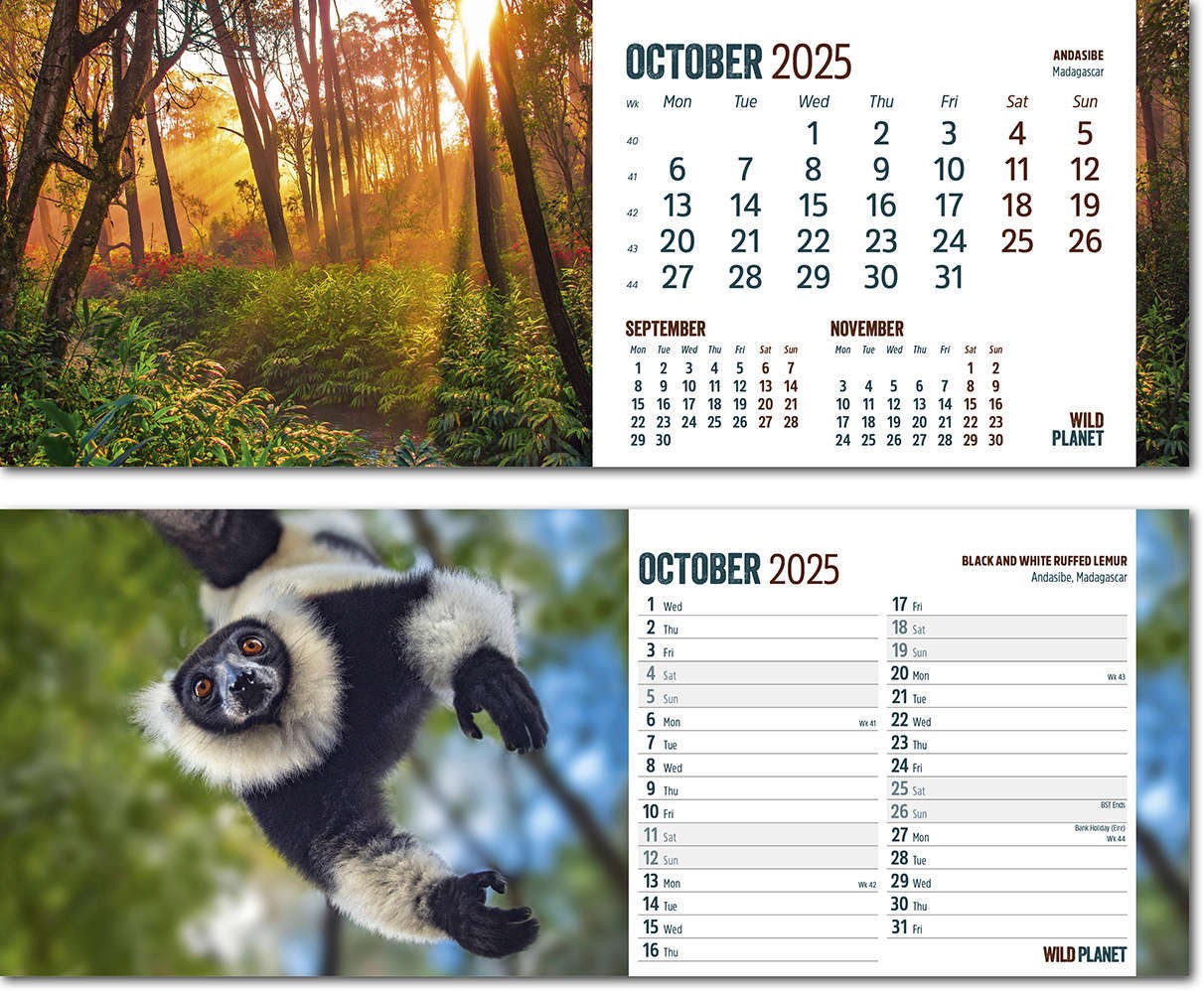 Wild Planet Note Station Desk Calendar 