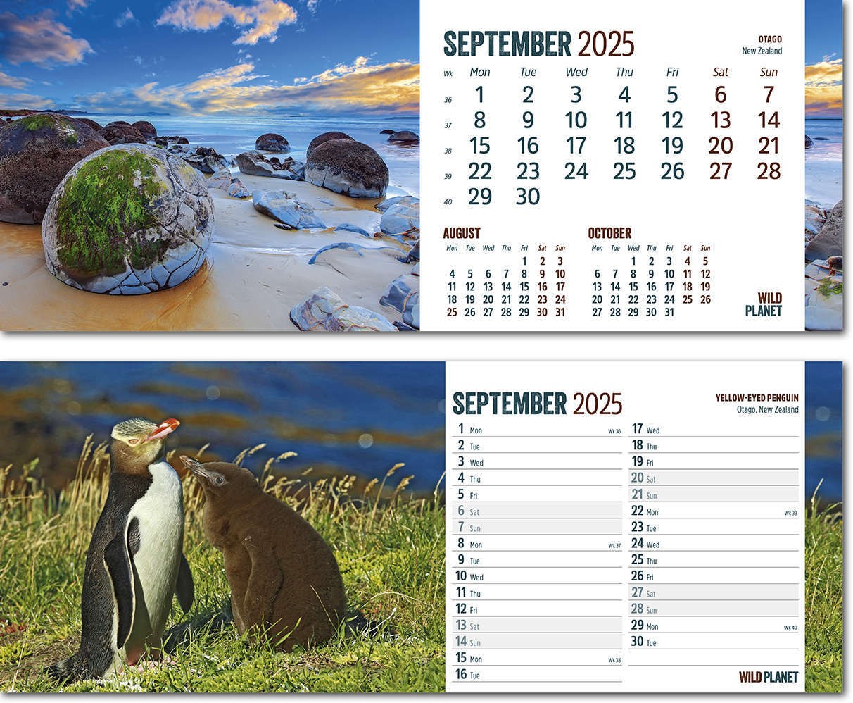 Wild Planet Note Station Desk Calendar 