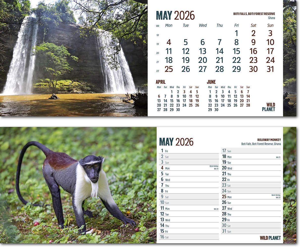 Wild Planet Task Station Desk Calendar