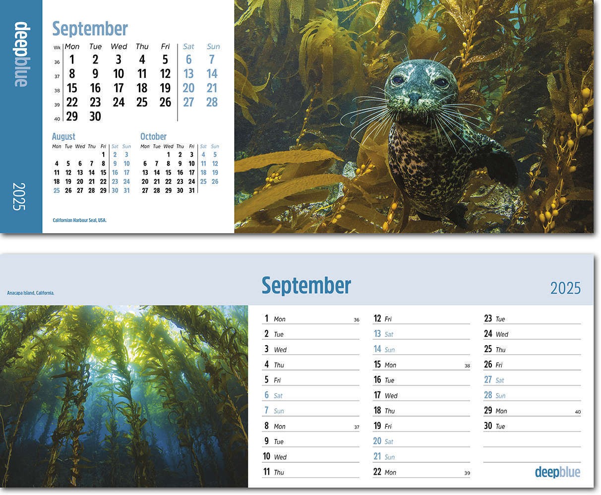 Deep Blue Premium Lined Easel Desk Calendar