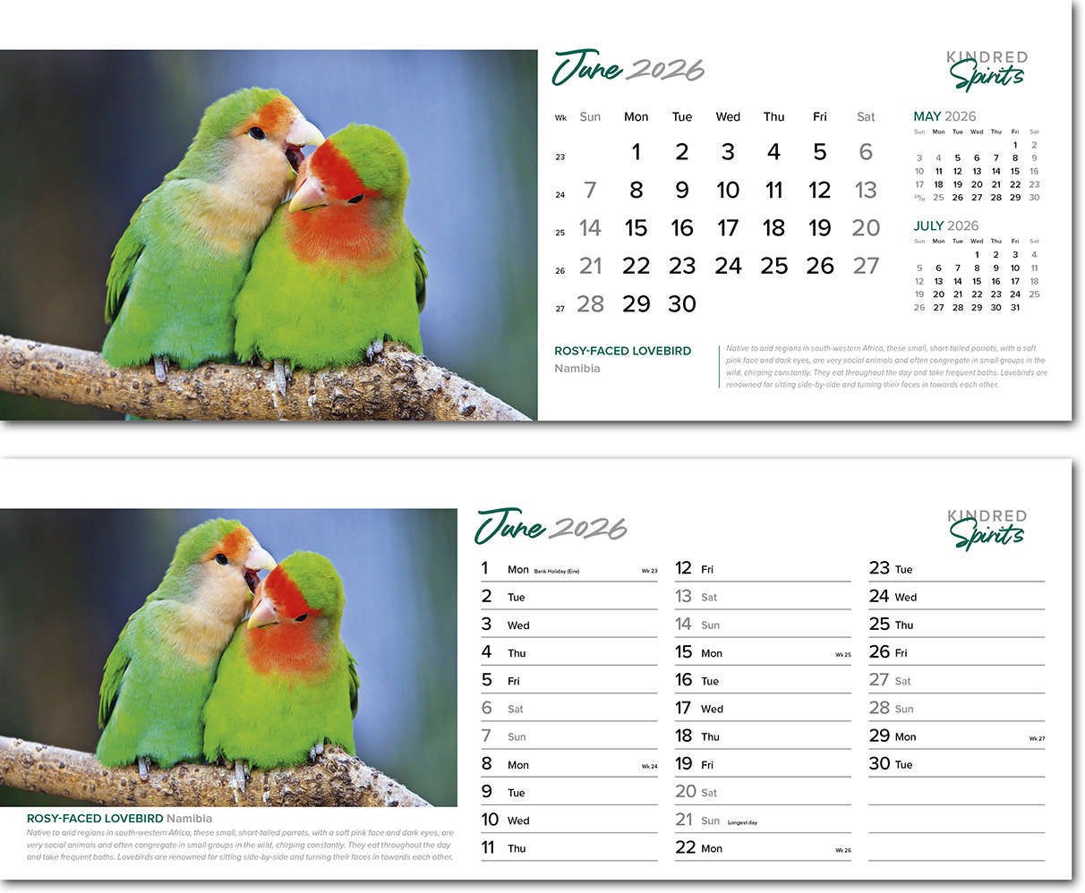 Kindred Spirits Note Station Desk Calendar