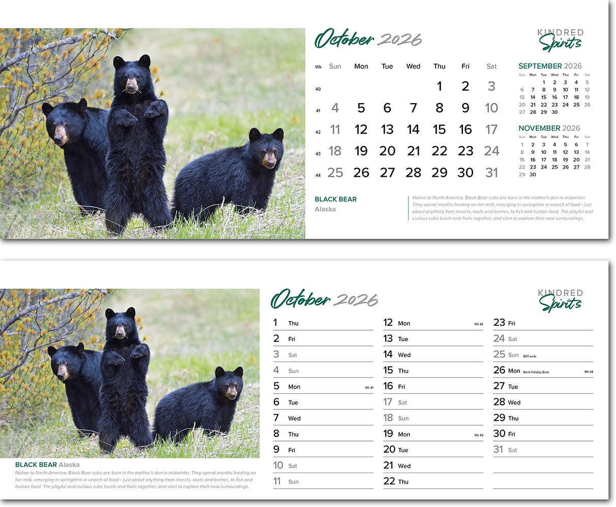 Kindred Spirits Note Station Desk Calendar