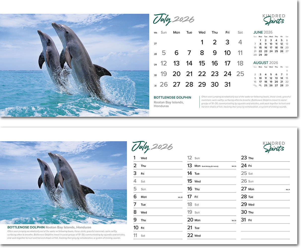 Kindred Spirits Premium Lined Easel Desk Calendar