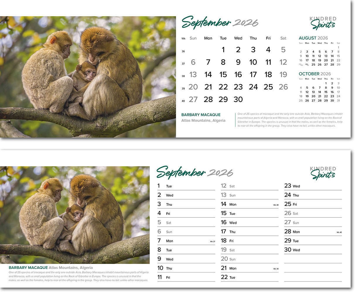 Kindred Spirits Premium Lined Easel Desk Calendar