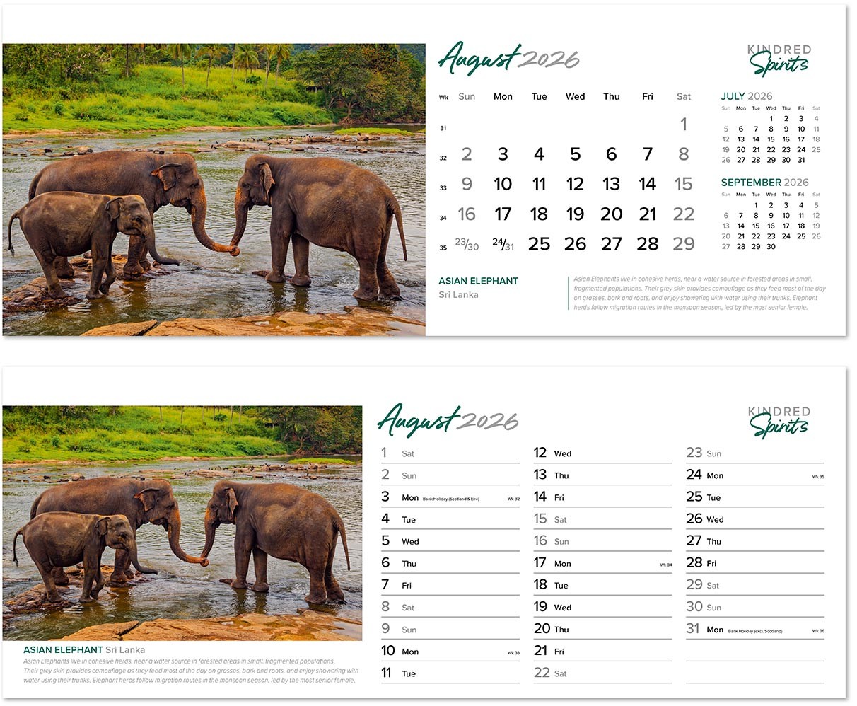 Kindred Spirits Desk Calendar