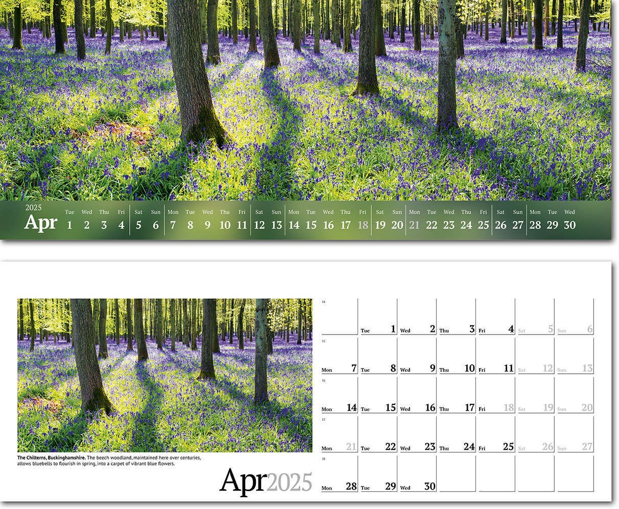 Wild Britain Task Station Desk Calendar