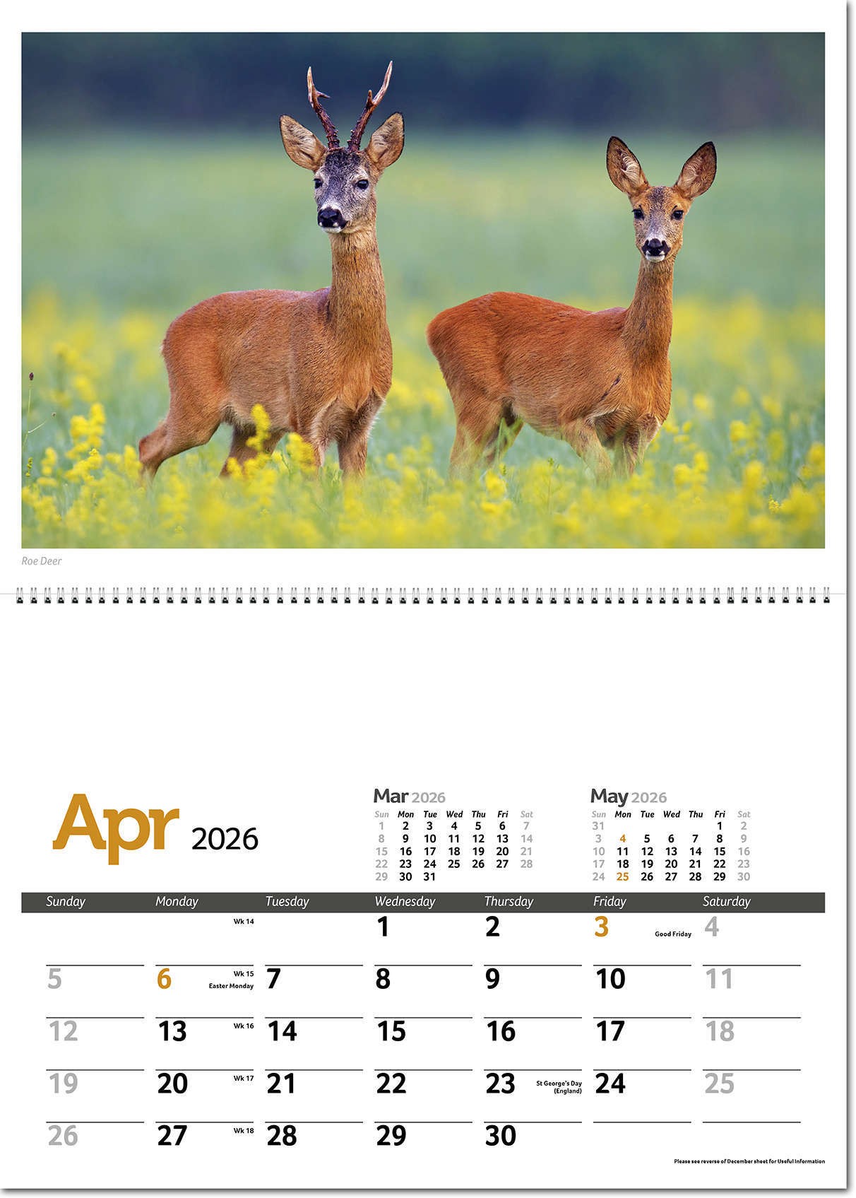 Wildlife in Britain Postage Saver Calendar