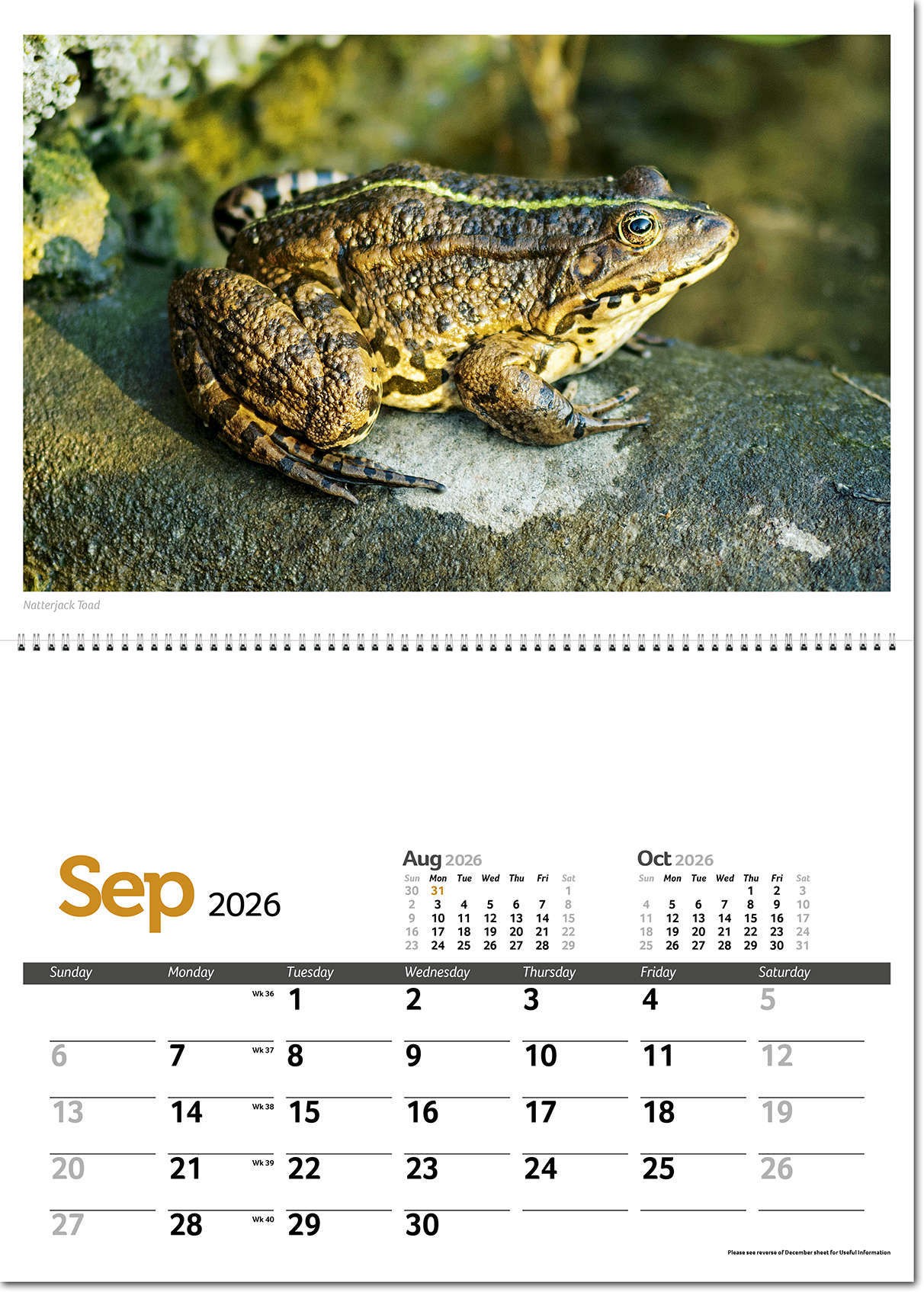 Wildlife in Britain Postage Saver Calendar