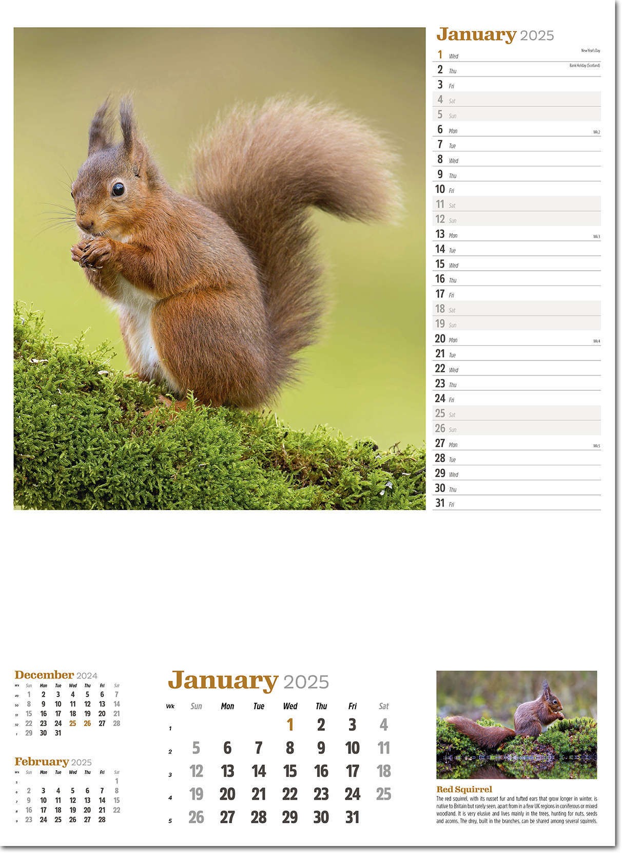 Wildlife in Britain Wall Calendar