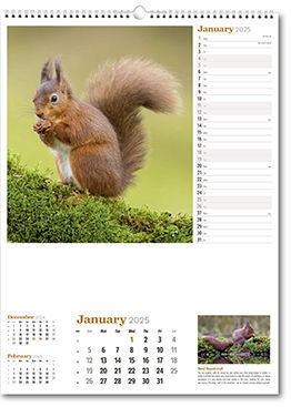 Wildlife in Britain Wall Calendar