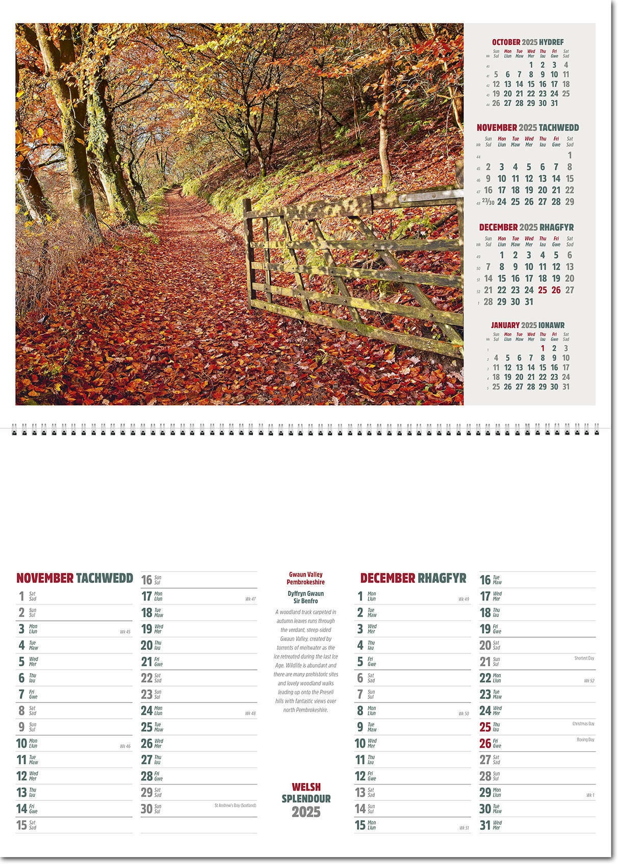 Welsh Splendour Postage Saver Calendar