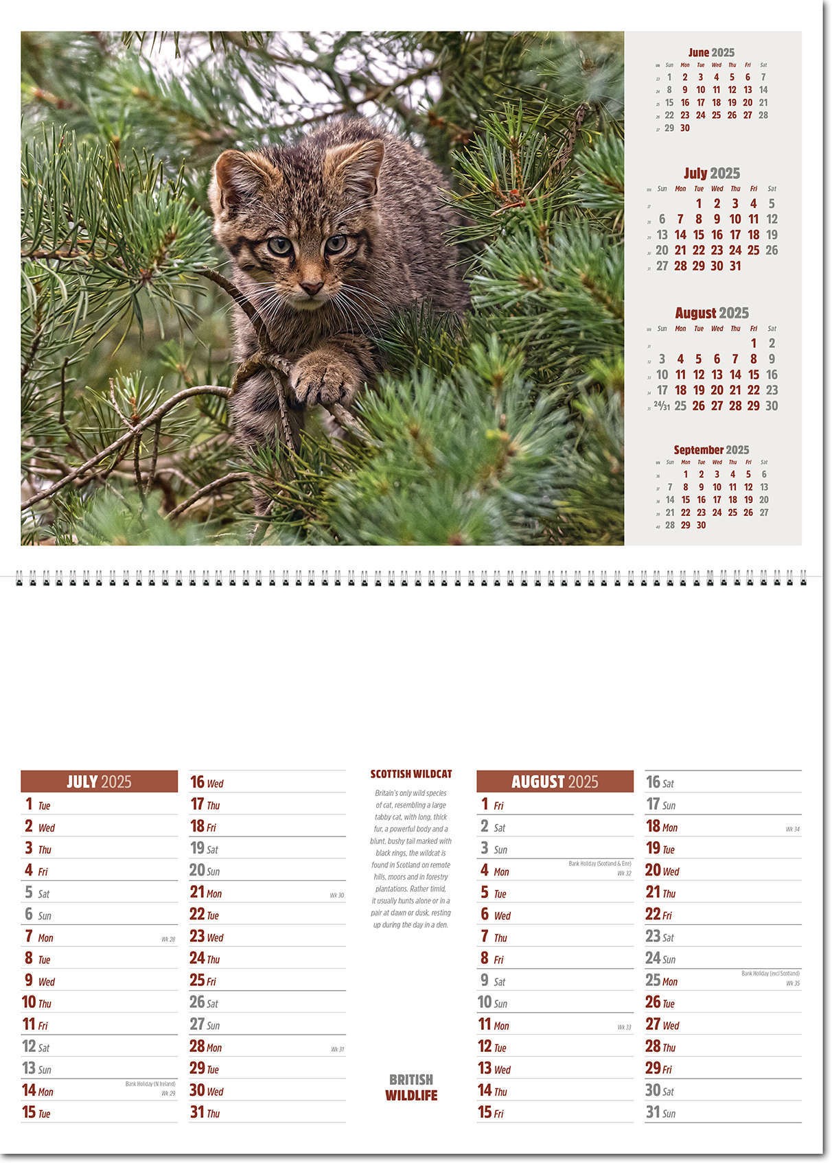 British Wildlife Postage Saver Calendar