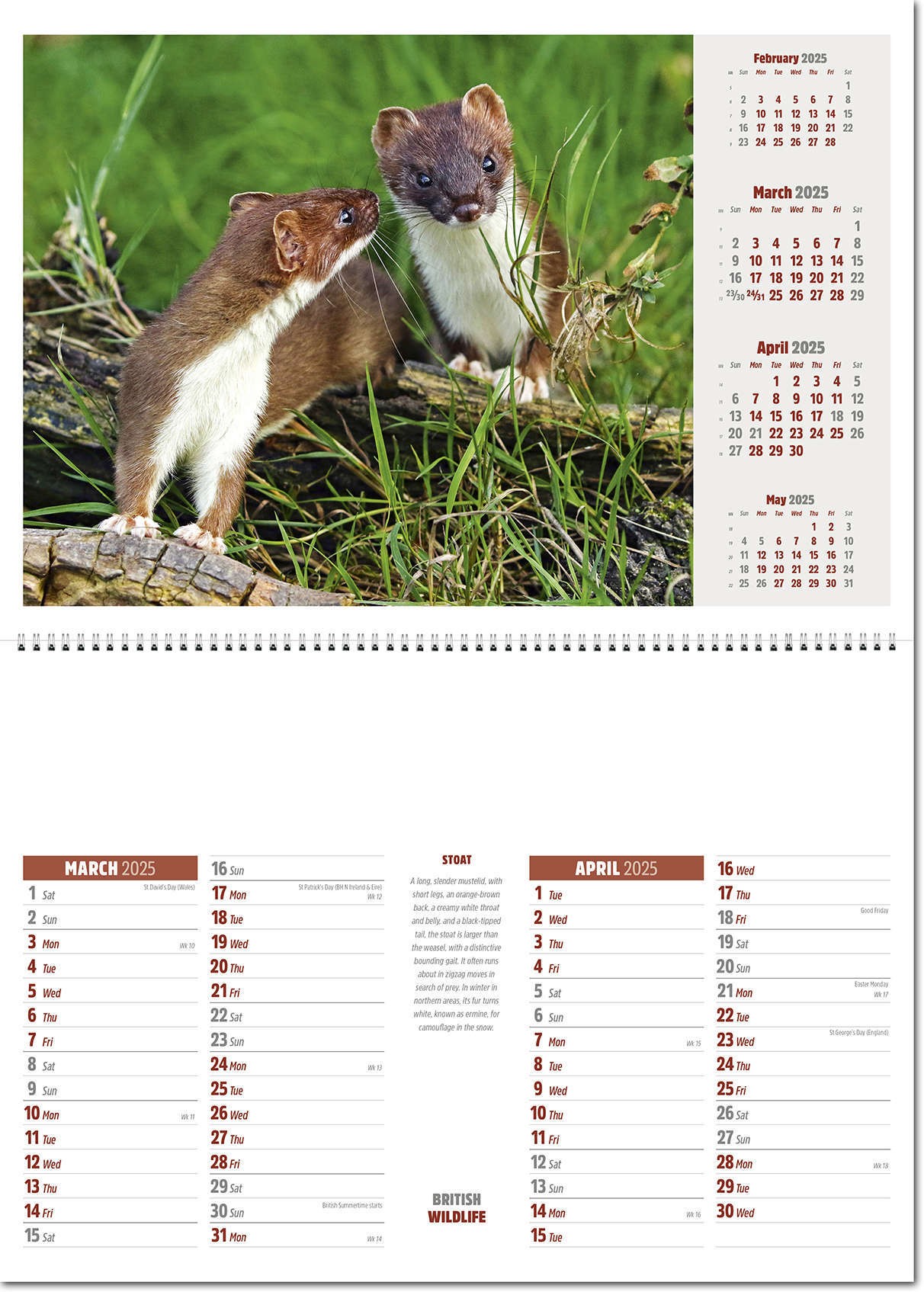 British Wildlife Postage Saver Calendar