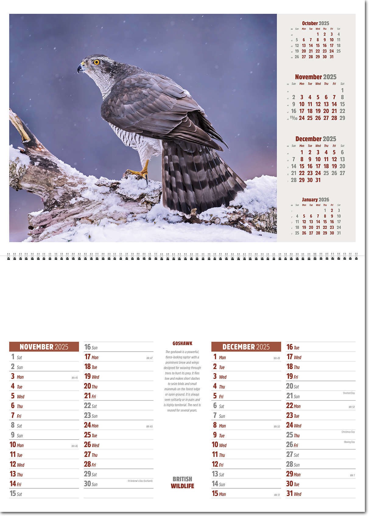 British Wildlife Postage Saver Calendar