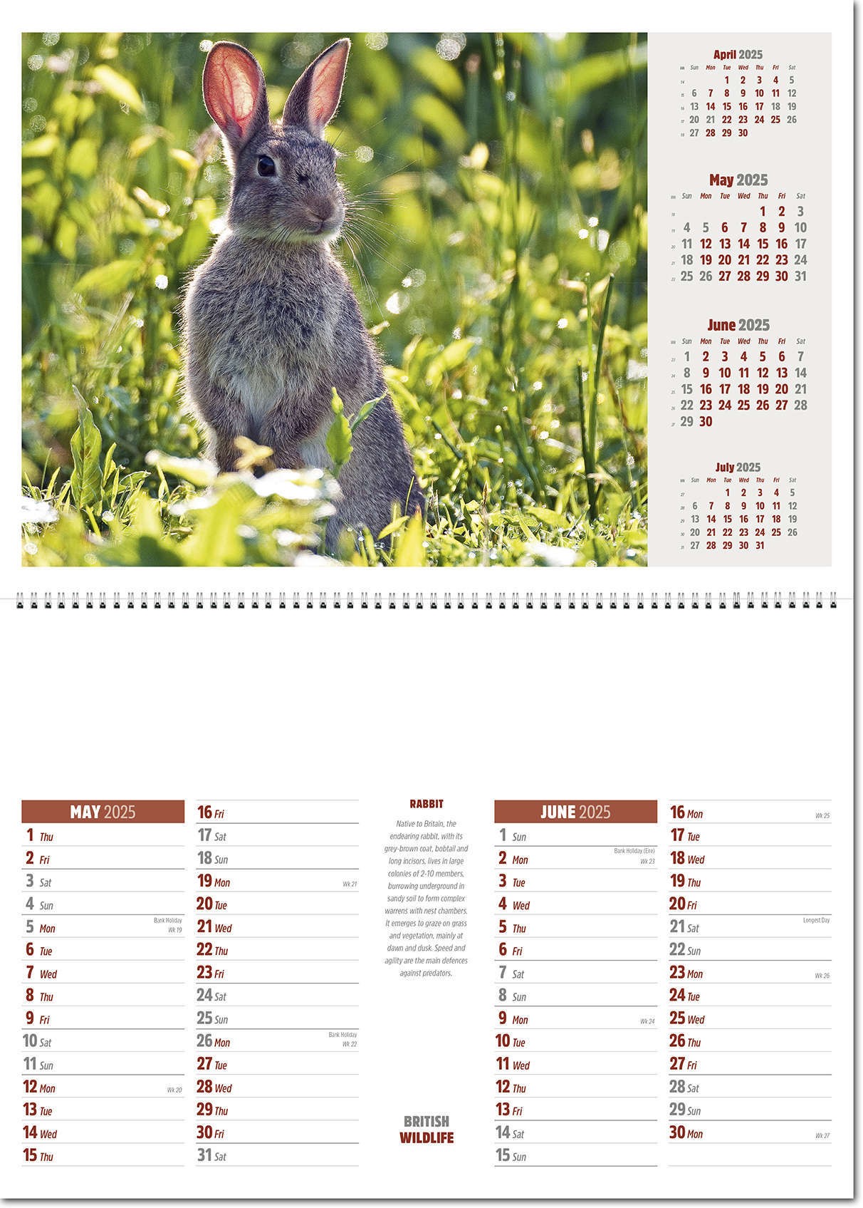 British Wildlife Postage Saver Calendar