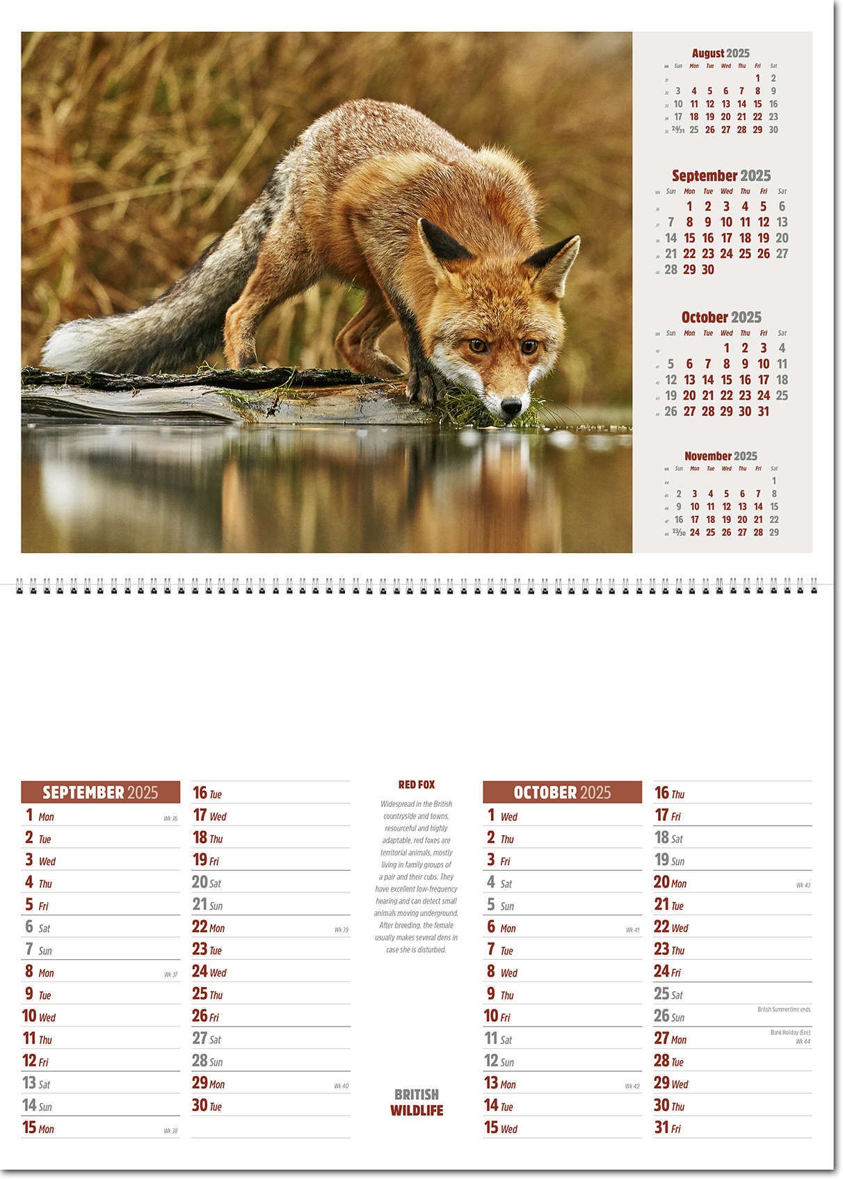 British Wildlife Postage Saver Calendar