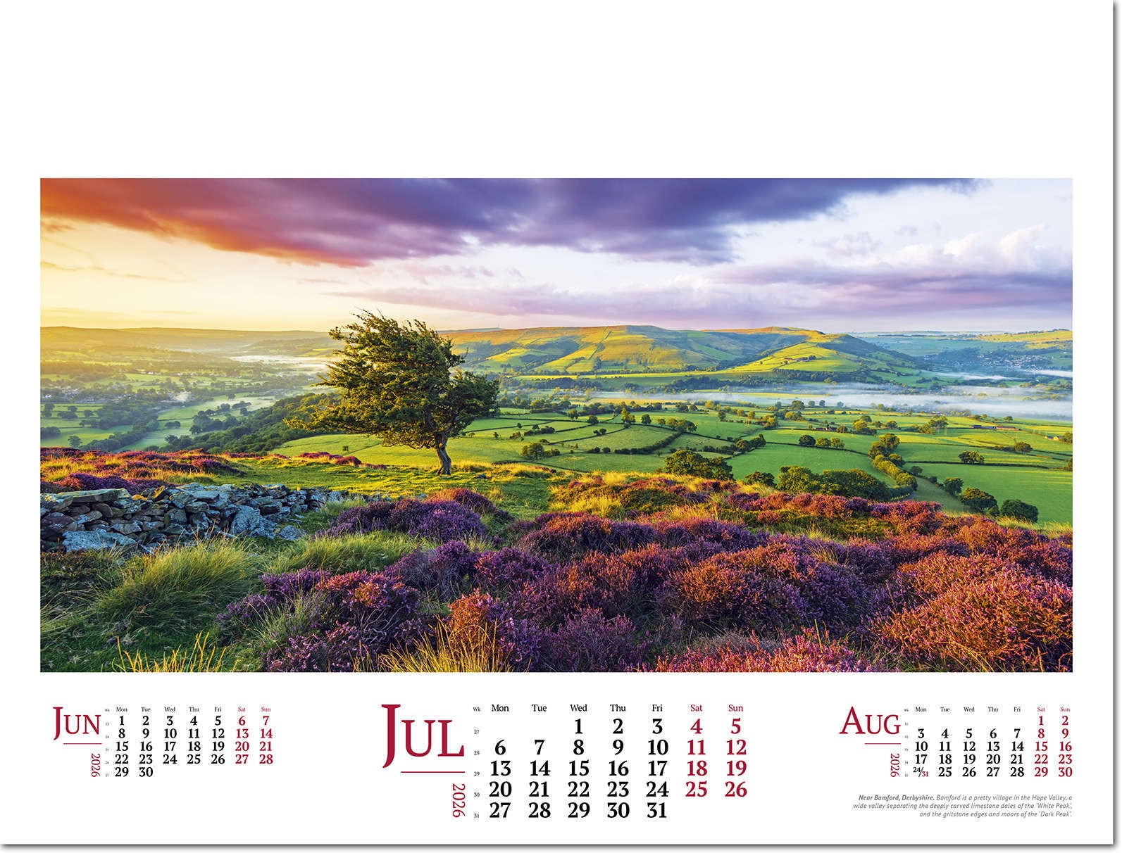 Wild Britain Wall Calendar