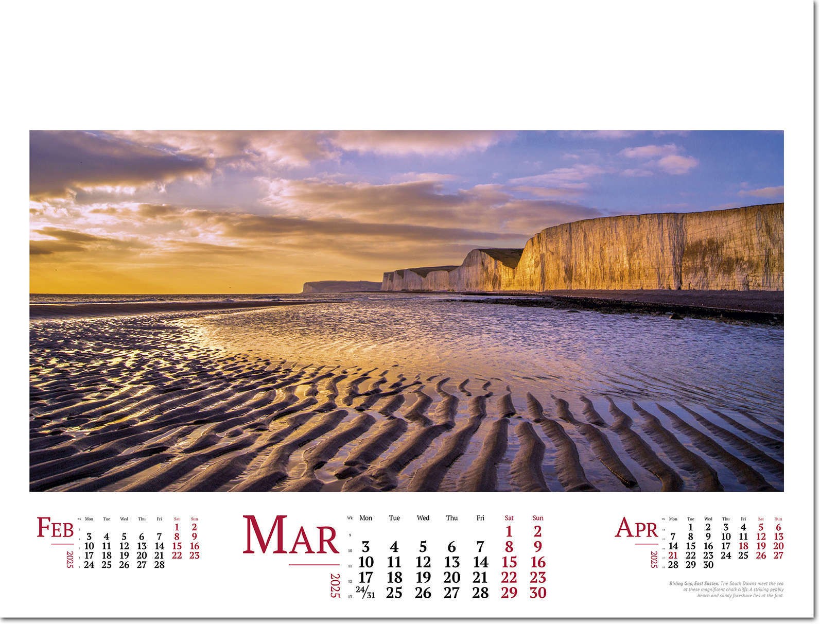 Wild Britain Wall Calendar