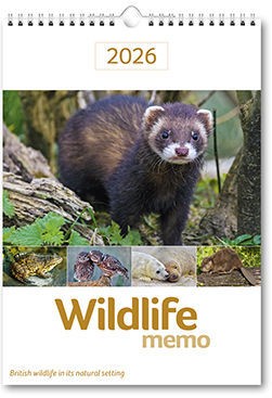 Wildlife Memo Calendar