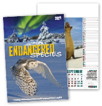 Promotional Wall Calendars